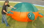 Light Turtle Shape Ball