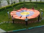 Concentric Circles 