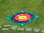 Target Toss