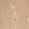 Beige: Hair Salon Mats