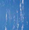 Blue: Hair Salon Mats