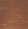 Brown: Hair Salon Mats