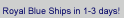 Royal Blue Gym Mats ships in 1-3 days!