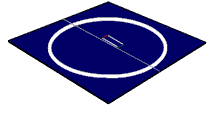 wrestling mats