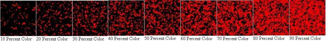 10-90 Percent Color PISO DE HULE