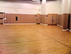 Wall Pads