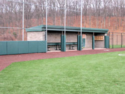 Wall Pads